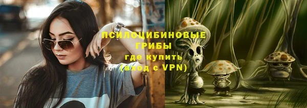 эйфоретик Арсеньев